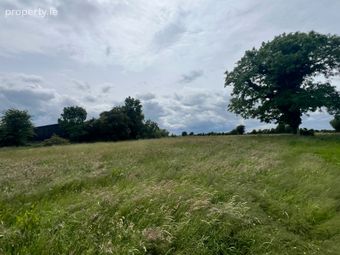 10 Acres, Rooaun, Creagh, Ballinasloe, Co. Galway - Image 2