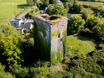 Ballygriffey Castle Ruins On 0.7ha, Folio Ce3481f, Ballygriffey South, Ruan, Co. Clare, Barefield, Co. Clare - Image 4
