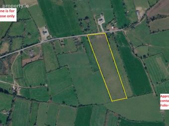 Baunynav, Loughrea, Co. Galway, Abbey, Co. Galway