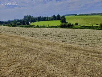 Long Road, Rathdrum, Co. Wicklow