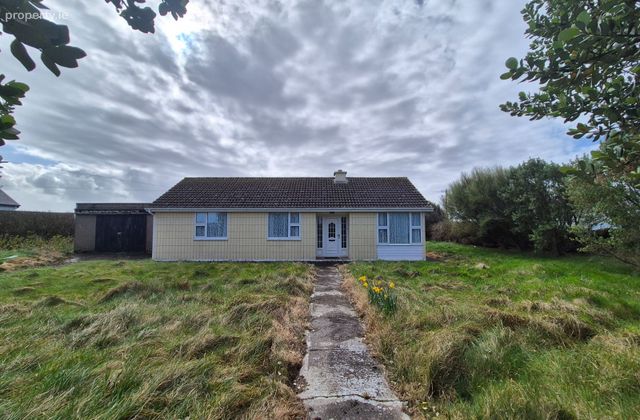 Seafield, Quilty, Co. Clare - Click to view photos