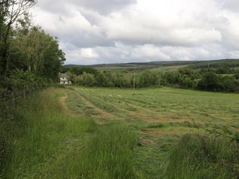 1.1 Acre Site Holymount, Peterswell, Gort, Co. Galway - Image 4