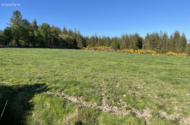 Commons East, Woodford, Co. Galway - Click to view photos