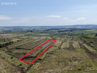 (lot 5) - 29.85 Acres At Rathea, Listowel, Co. Kerry - Image 4