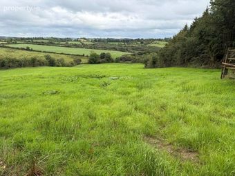 Doon, Teirworker, Kells, Co. Meath - Image 3
