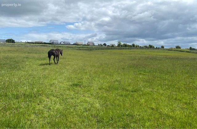 Mirah, Turloughmore, Co. Galway, Turloughmore, Co. Galway - Click to view photos