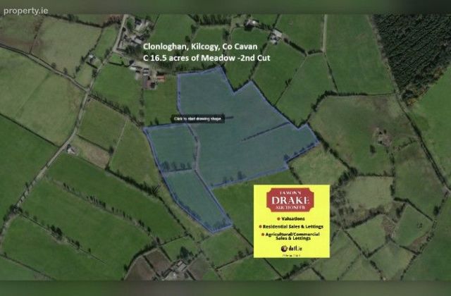 Clonoghan, Kilcogy, Co. Cavan - Click to view photos