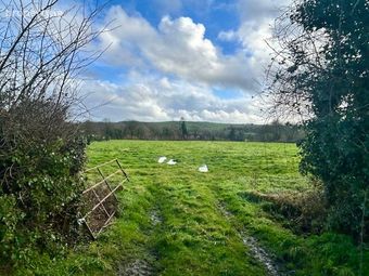 Ballydowel, Rathmoyle, Three Castles, Co. Kilkenny - Image 2