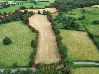 Leab, Elfeet (burke), Newtowncashel, Co. Longford - Image 5
