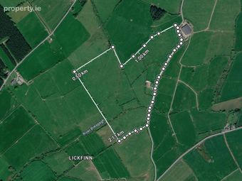 Lickfinn, Ballynonty, Co. Tipperary - Image 4
