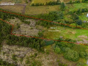 Keyfield, Ballinlough, Co. Roscommon, Ballinlough, Co. Roscommon - Image 4
