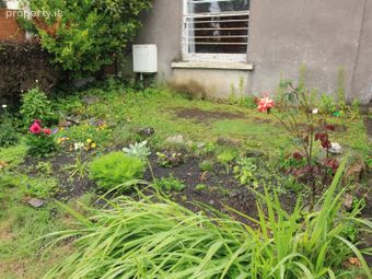1 Janeville Terrace, Sunday's Well, Co. Cork - Image 4