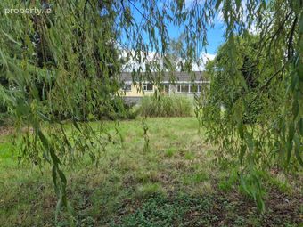 Wells, Bagenalstown, Co. Carlow, Bagenalstown, Co. Carlow - Image 4