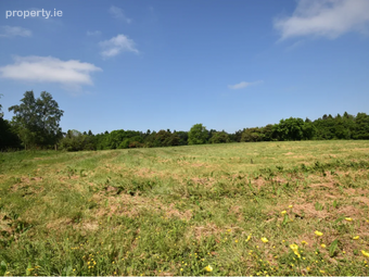 Derrycarne, Dromod, Co. Leitrim - Image 2