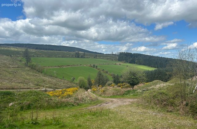 51.6 Acre Residential Holding, Knockwatear, Killavullen, Co. Cork, Beennaskehy, Co. Cork - Click to view photos