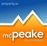 McPeake Auctioneers