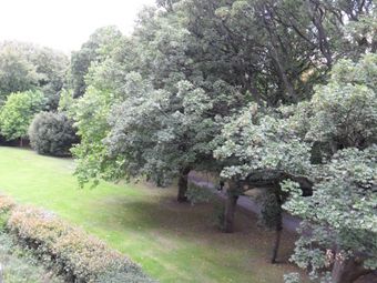 The Pines, Herbert Park Lane, Ballsbridge, Dublin 4 - Image 3