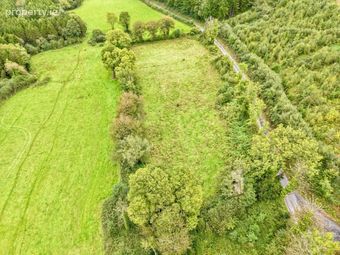 Boherboy, Mullinahone, Co. Tipperary, Mullinahone, Co. Tipperary - Image 3