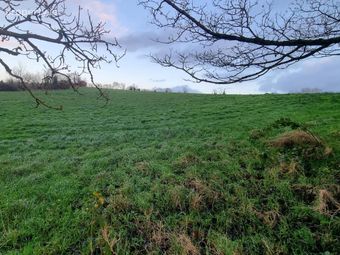 3 Sites At Dromore Stranooden, Monaghan, Co. Monaghan - Image 3