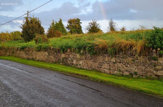 C.23.3 Acres Agricultural Land At Stampspark ,station Road, Thomastown, Co. Kilkenny - Click to view photos