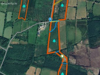Loughglynn Demense And Druminagh, Loughglynn, Co. Roscommon