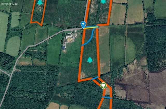 Loughglynn Demense And Druminagh, Loughglynn, Co. Roscommon - Click to view photos