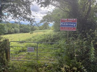 Tomduff, Borris, Co. Carlow., Borris, Co. Carlow - Image 2