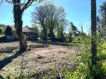 Mullagh, Dromahaire, Co. Leitrim, Dromahair, Co. Leitrim - Image 4