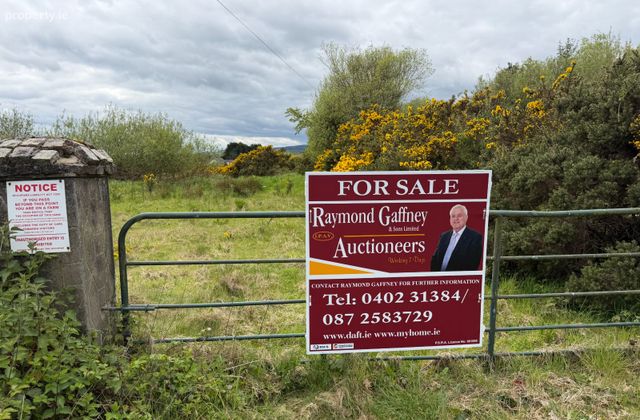 Newbawn, Rathdrum, Co. Wicklow - Click to view photos