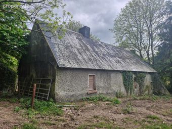 Garravoone, Carrick-on-suir, Co. Tipperary, Carrick-on-Suir, Co. Waterford - Image 3