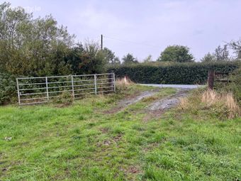 Doonane, Crettyard, Co. Laois - Image 5