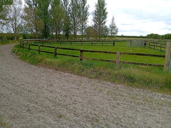 Extensive Equestrian Property,clifton Lodge, Ballysax, Ballysax, Co. Kildare - Image 4