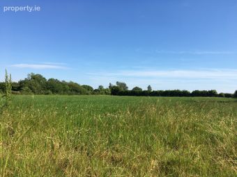 Garraun, Two-mile-borris, Thurles, Co. Tipperary - Image 3