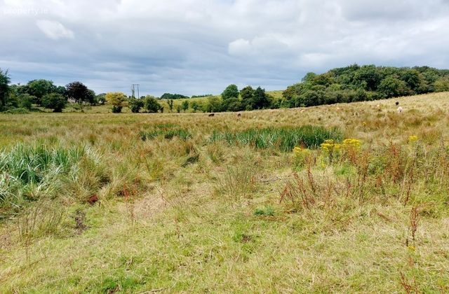 Castlecrine, Sixmilebridge, Co. Clare - Click to view photos
