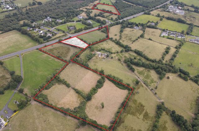 8.42 Hectares Cn3639, Lisduff, Virginia, Co. Cavan, Virginia, Co. Cavan - Click to view photos