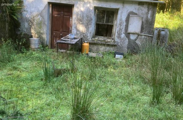 Bunnaglass, Loughrea, Co. Galway, Bunnaglass, Co. Galway - Click to view photos