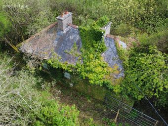 Kylemore, Laurencetown, Co. Galway - Image 5