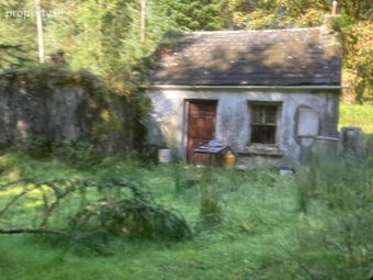 Bunnaglass, Loughrea, Co. Galway, Bunnaglass, Co. Galway - Image 4