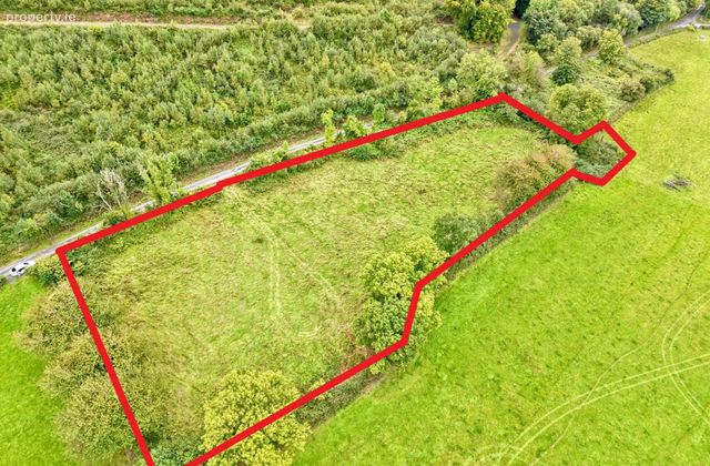 Boherboy, Mullinahone, Co. Tipperary, Mullinahone, Co. Tipperary - Click to view photos