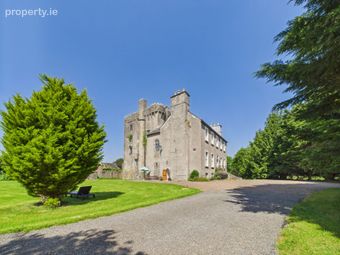 Emmel Castle, Emmel, Cloughjordan, Co. Tipperary - Image 4