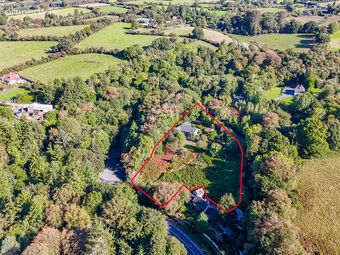 Forty Shades, Laurelhill, Inistioge, Co. Kilkenny - Image 3
