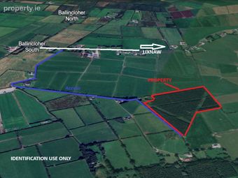 15 Acres/6.1 Ha Forestry Plantation At Gortadrislig, Lixnaw, Co. Kerry