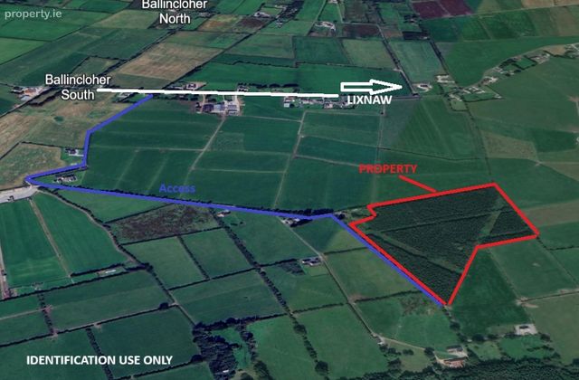 15 Acres/6.1 Ha Forestry Plantation At Gortadrislig, Lixnaw, Co. Kerry - Click to view photos