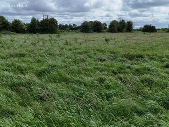 9.3 Acres (approx.) At Cloniffeen, Shannonbridge, Co. Offaly, Shannonbridge, Co. Offaly - Image 2