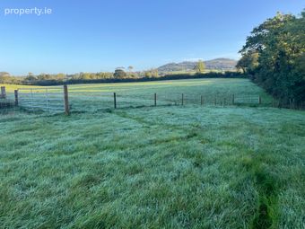 Prospect, Ballymoney, Gorey, Co. Wexford, Ballymoney, Co. Wexford - Image 3