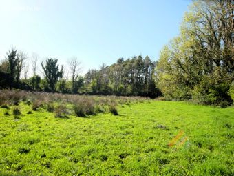 Glenatallan, Loughrea, Co. Galway - Image 5