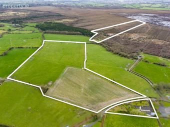 Grangehiggin, Kilmeague On C. 44 Acres, Allen, Co. Kildare