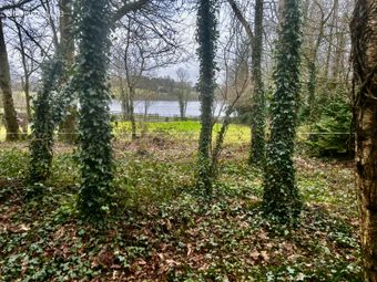 Snackiel, Killeshandra, Killeshandra, Co. Cavan - Image 4