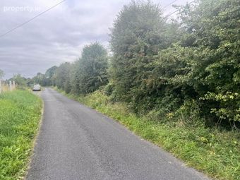 Approx, 4.77 Ha (11, 8 Acres), Ballincurry, Glenamaddy, Glinsk, Co. Galway, Glinsk, Co. Galway - Image 5