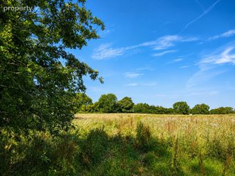 55 Acres, Thomastown, Kilcullen, Co. Kildare - Image 2